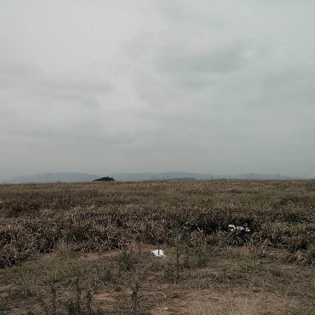 descampado, com grama mal cuidada e pós queimada, ao longe, uma árvore e mais longe ainda, montanhas